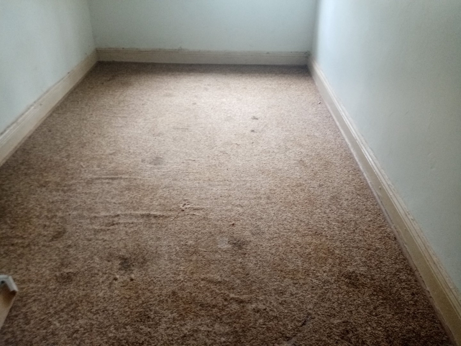 4 Bedroom Property for Sale in Petrusburg Free State